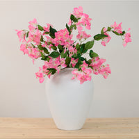 Ritzy Bougainvillea Spray