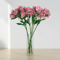 Empress Alstromeria Stem