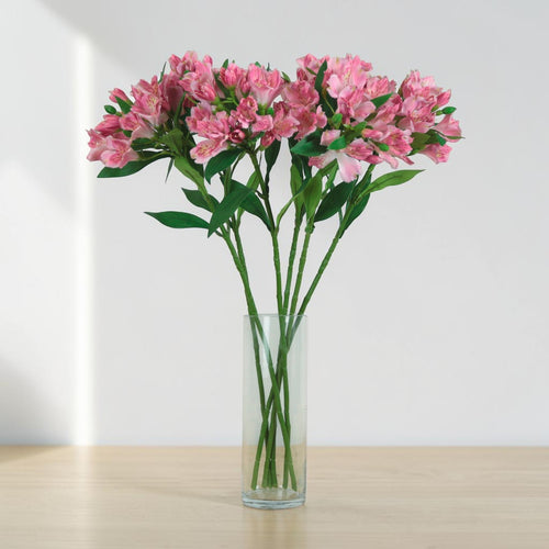 Empress Alstromeria Stem