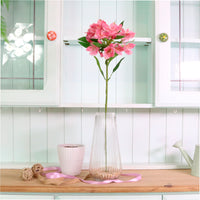 Empress Alstromeria Stem