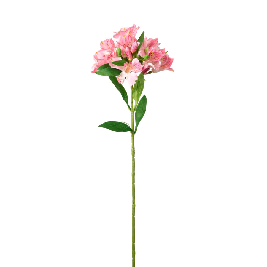 Empress Alstromeria Stem