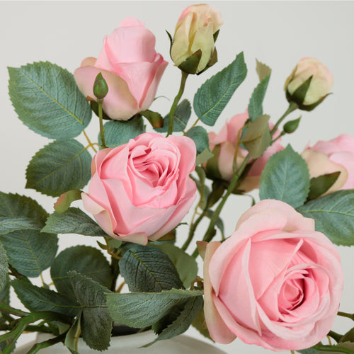 Isabella Rose Spray