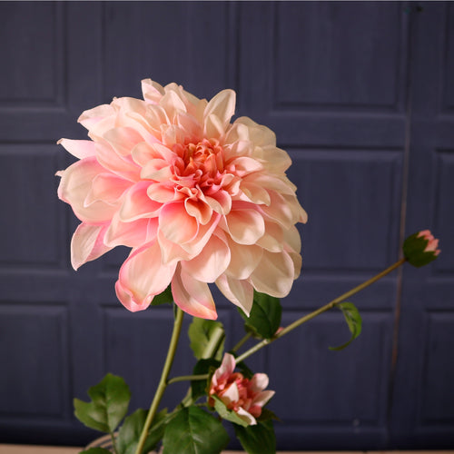 Real Touch Waterlily Dahlia