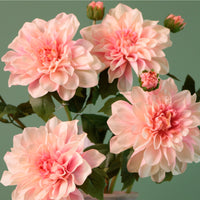 Real Touch Waterlily Dahlia Stem