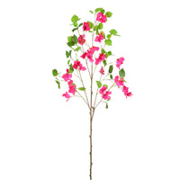 Wild Bougainvillea Large Spray