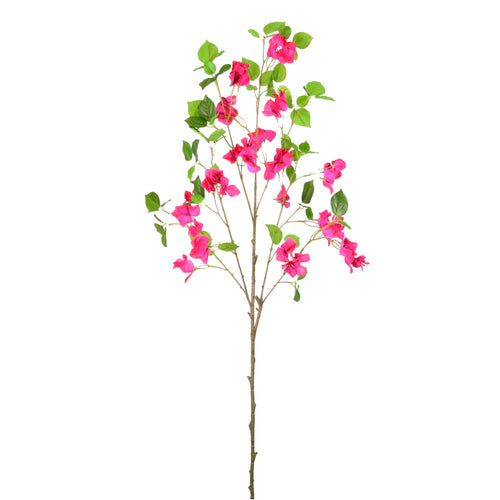 Wild Bougainvillea Large Spray