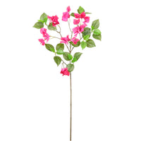 Wild Bougainvillea Spray Medium
