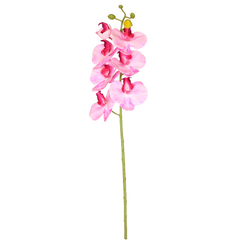 7 Head Orchid Stem