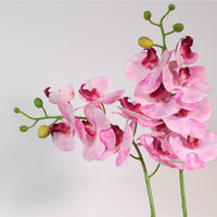 7 Head Orchid Stem