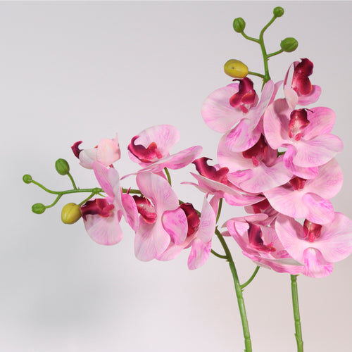 7 Head Orchid Stem