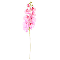 9 Head Orchid Stem