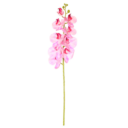 9 Head Orchid Stem