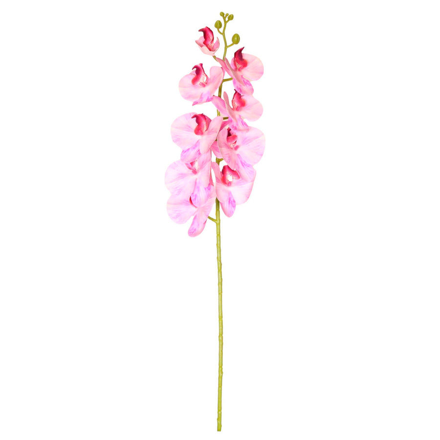 9 Head Orchid Stem