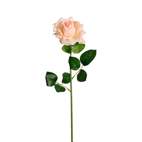 Open Esme Rose Stem