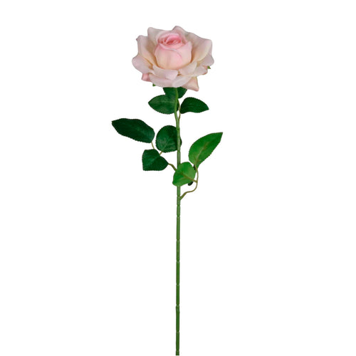 Open Esme Rose Stem