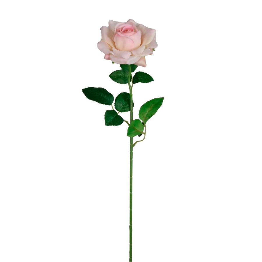 Open Esme Rose Stem