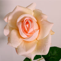 Open Esme Rose Stem