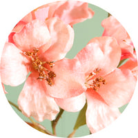 Textured Botanical Stem No.2