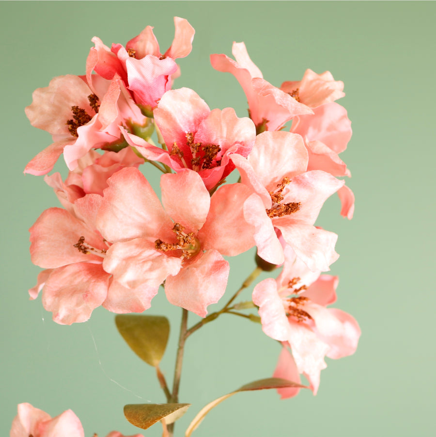 Textured Botanical Stem No.2