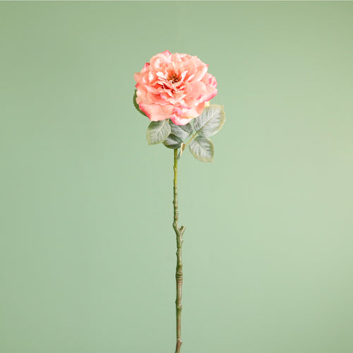 Textured Botanical Stem No.3