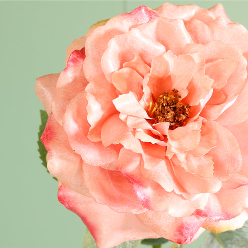 Textured Botanical Stem No.3