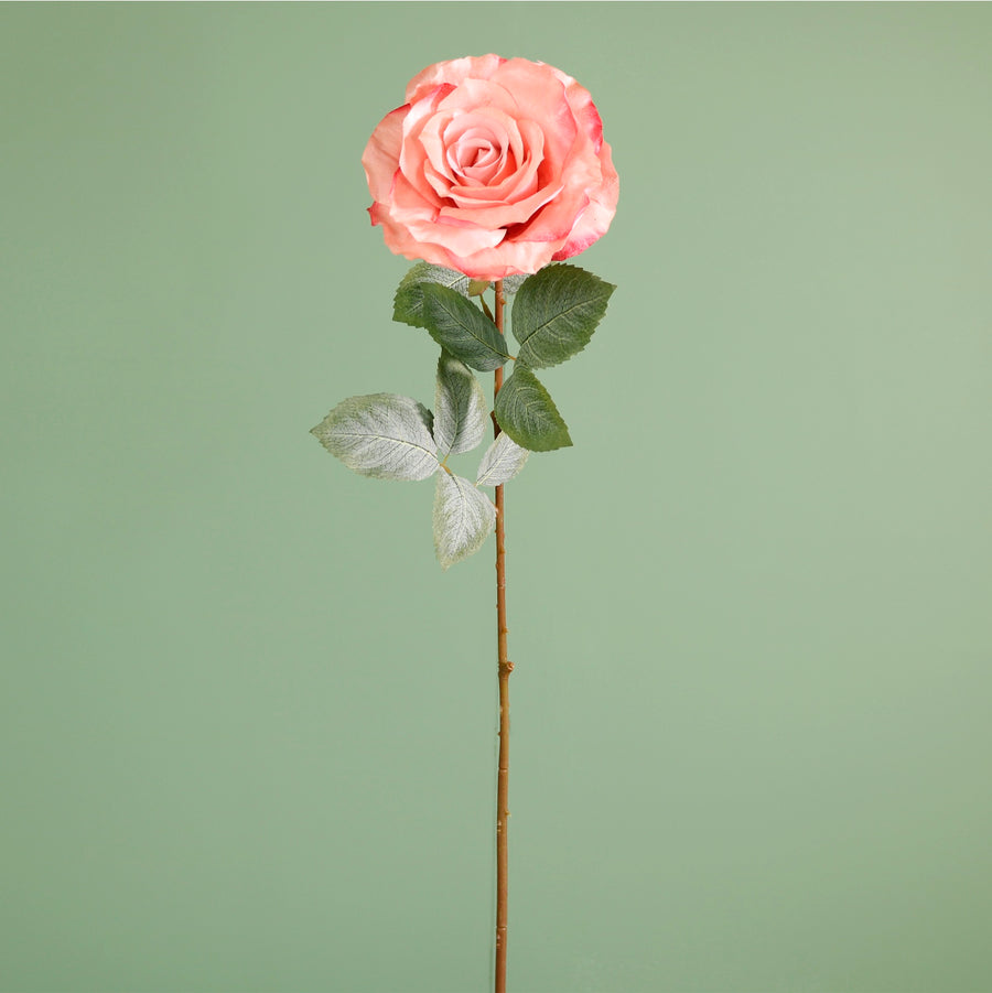 Textured Botanical Stem No.7