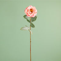 Textured Botanical Stem No.9