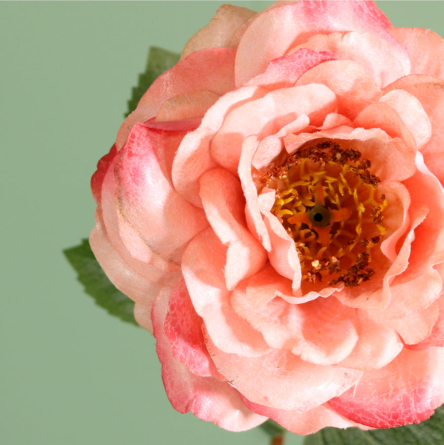 Textured Botanical Stem No.9