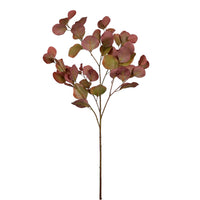 Printed Cinerea Eucalyptus Spray