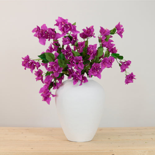 Ritzy Bougainvillea Spray