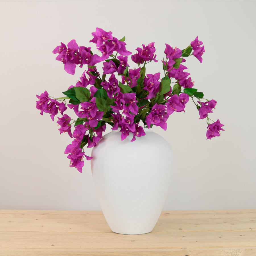 Ritzy Bougainvillea Spray