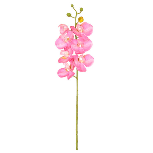 7 Head Orchid Stem
