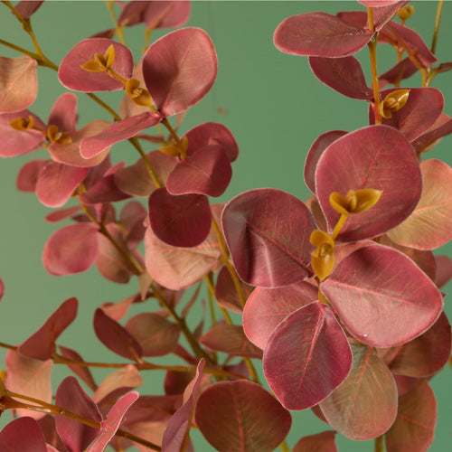 Printed Eucalyptus Gunni Spray