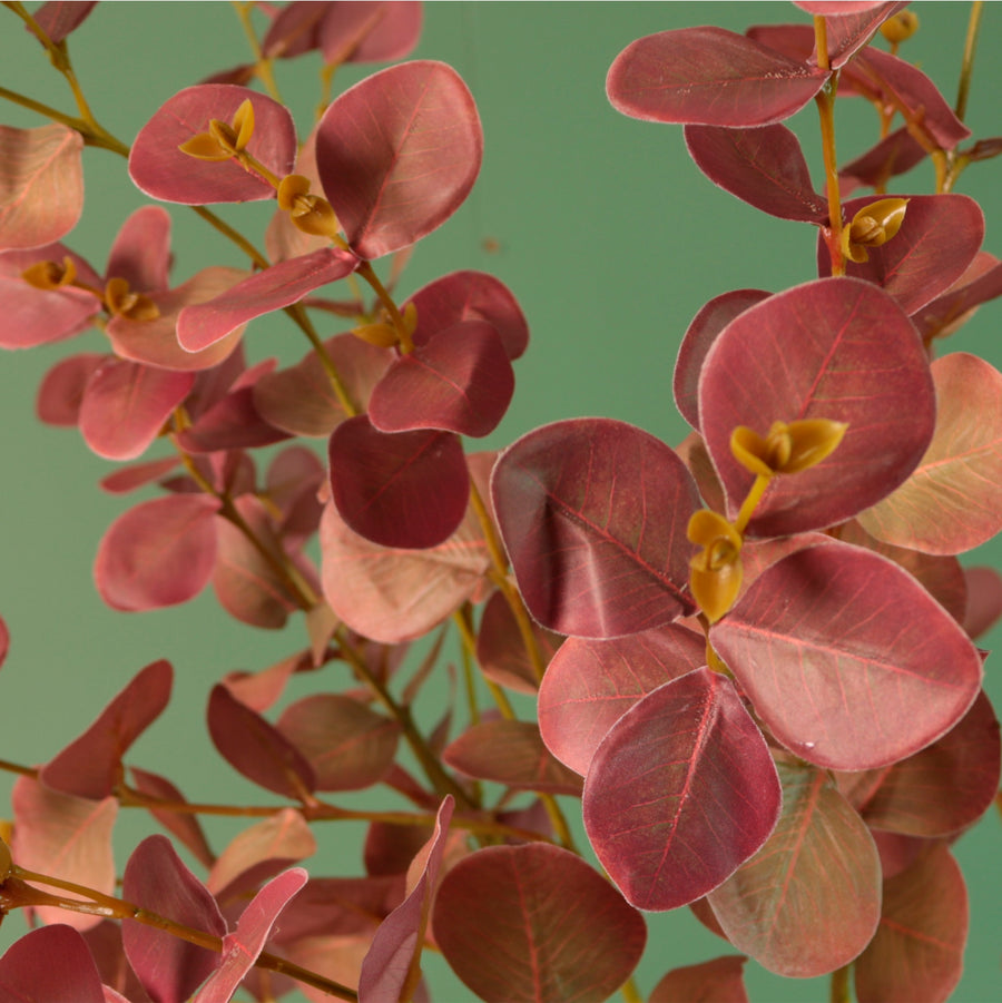 Printed Eucalyptus Gunni Spray