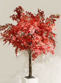 Tree Trunk (1.8m)