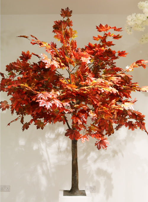 Tree Trunk (1.8m)