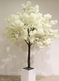Tree Trunk (1.8m)