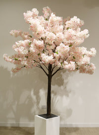 Tree Trunk (1.8m)