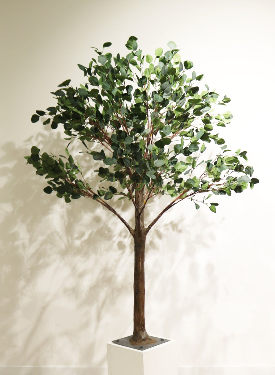Tree Trunk (1.8m)