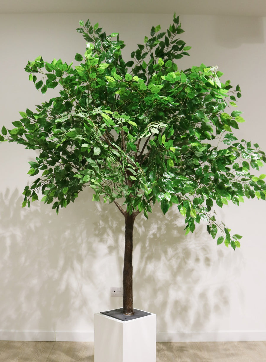 Tree Trunk (1.8m)