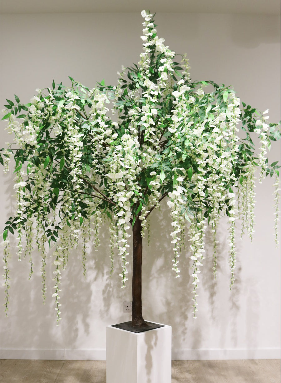 Long Wisteria Branch