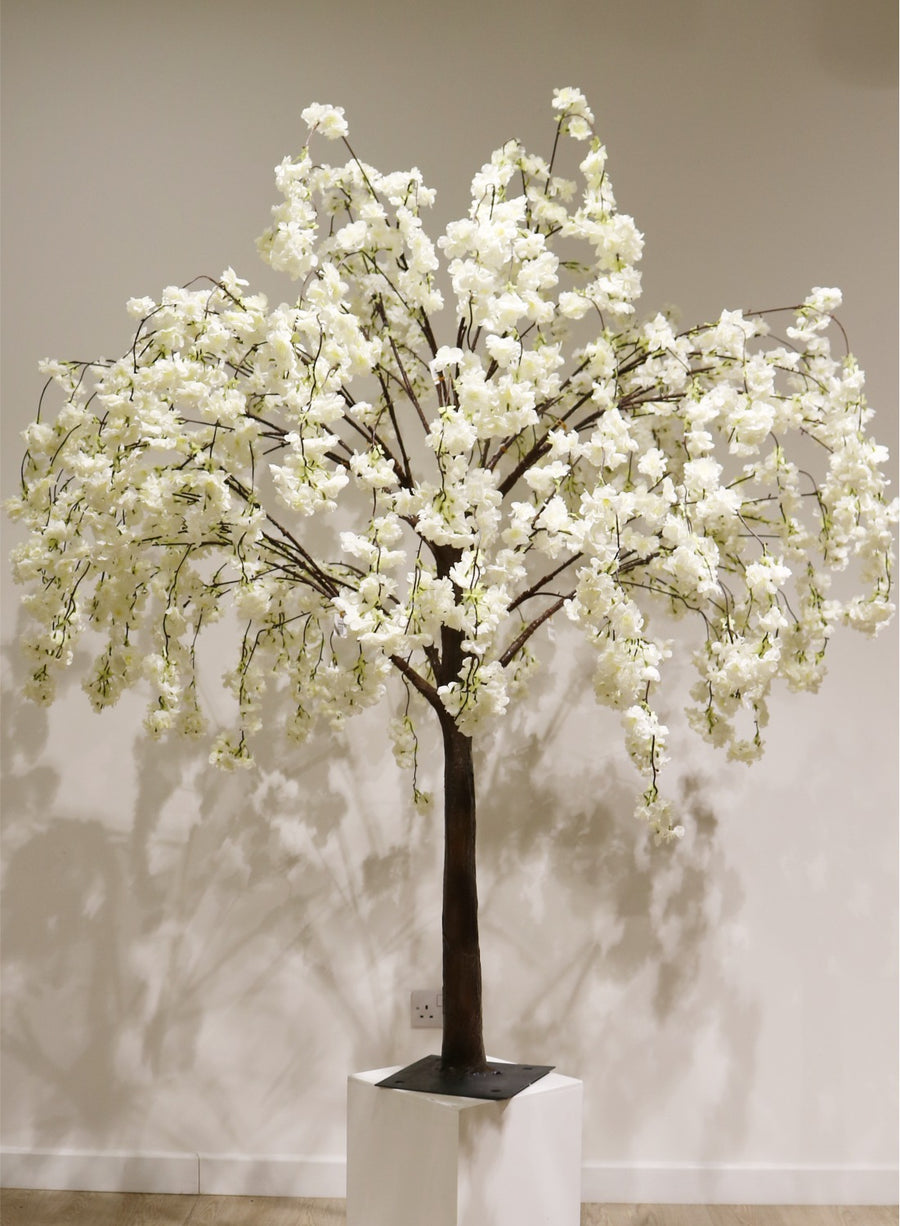 Weeping Cherry Blossom Branch
