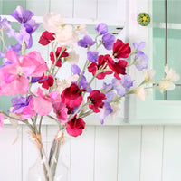 Sweet Pea Bunch