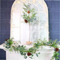 Winter Premium Woodland Forest Pic No:06