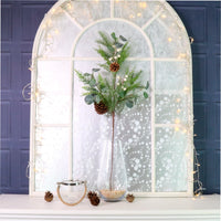 Winter Premium Woodland Forest Pic No:06