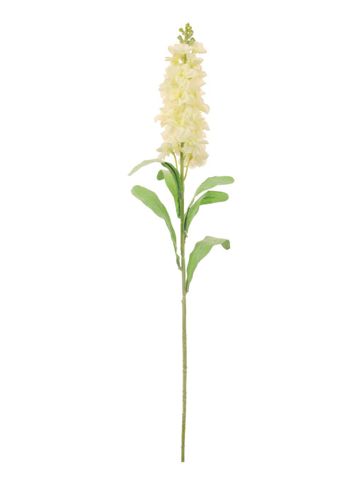 Stock Flower (small)