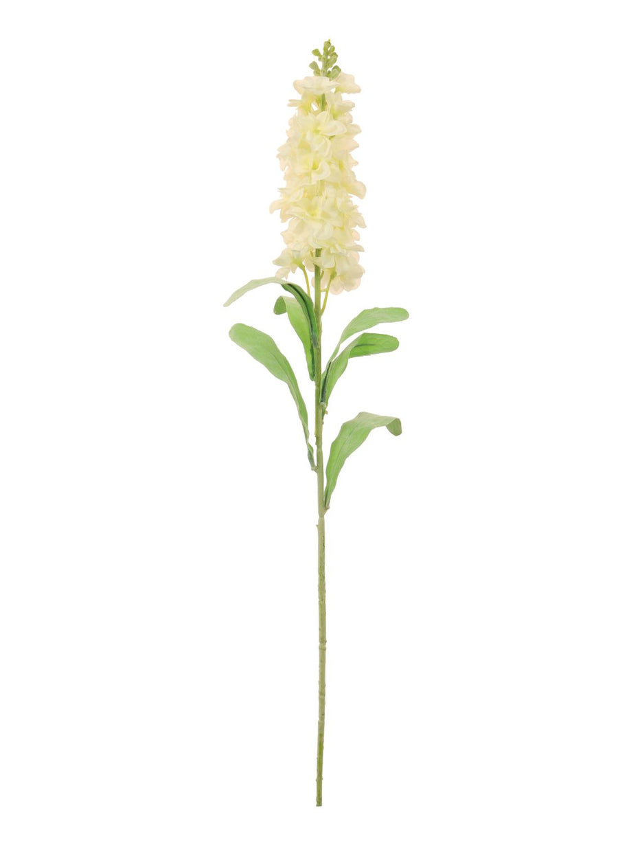 Stock Flower (small)