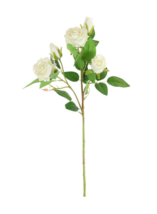 Issy Rose Spray