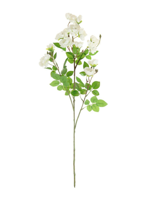 Bantry Bay Rose Spray