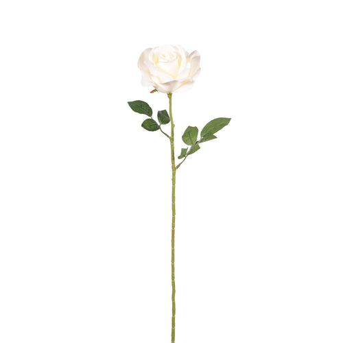 Harris Rose Stem